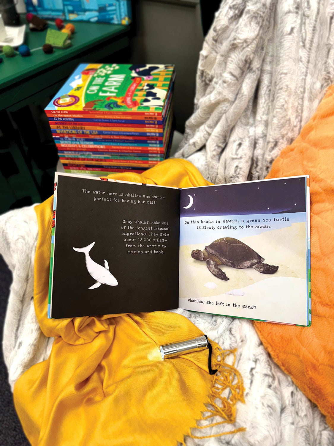 Animal Journeys A Shine-A-Light Book