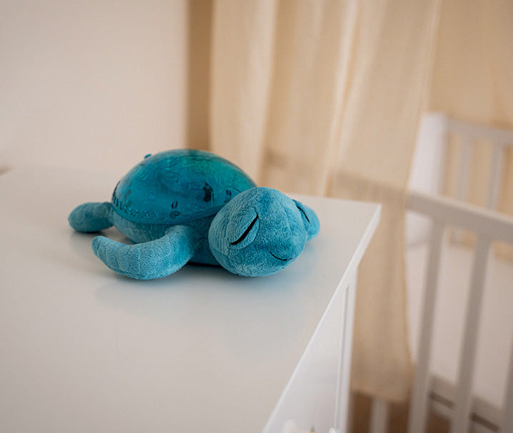 Cloud b Tranquil Turtle