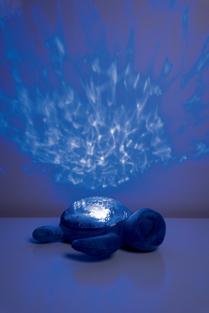 Cloud b Tranquil Turtle