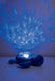 Cloud b Tranquil Turtle