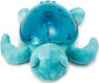 Cloud b Tranquil Turtle