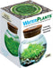 WaterPlants - Create Your Own Aquascape