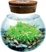 WaterPlants - Create Your Own Aquascape