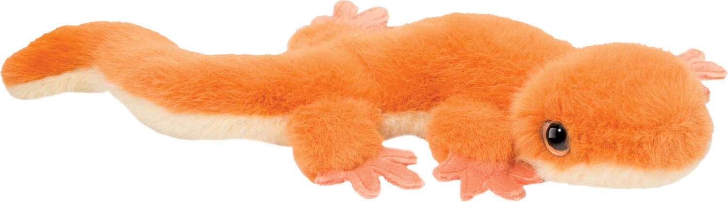 Sam Salamander