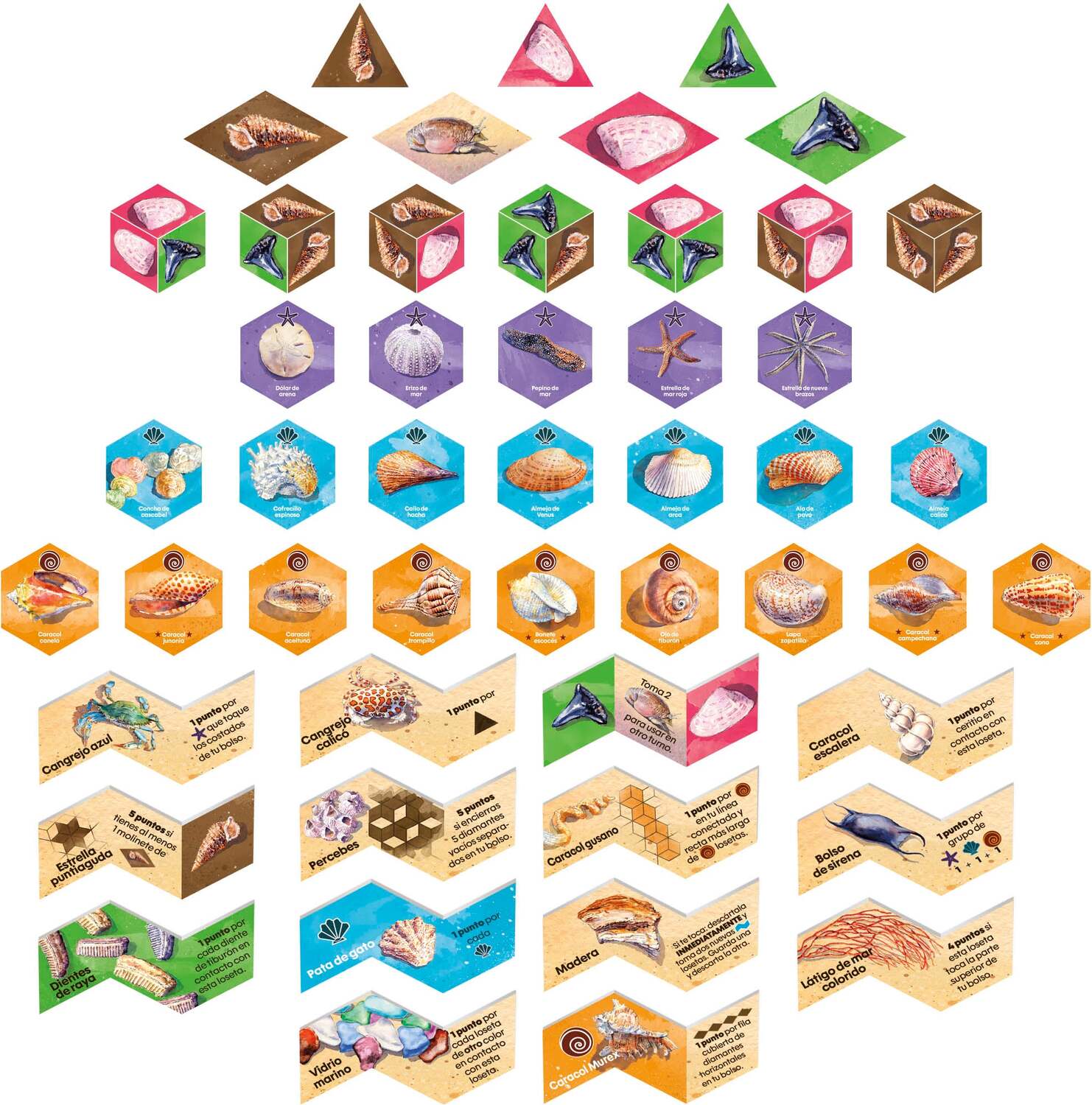 Sanibel Board Game