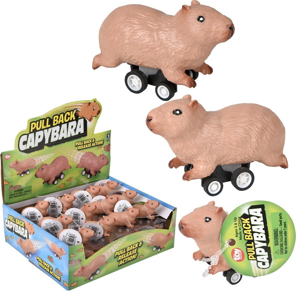 2.5" Pullback Capybara