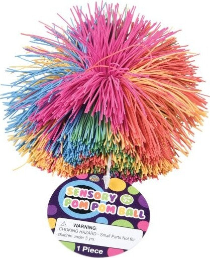 Sensory Pom Pom Ball