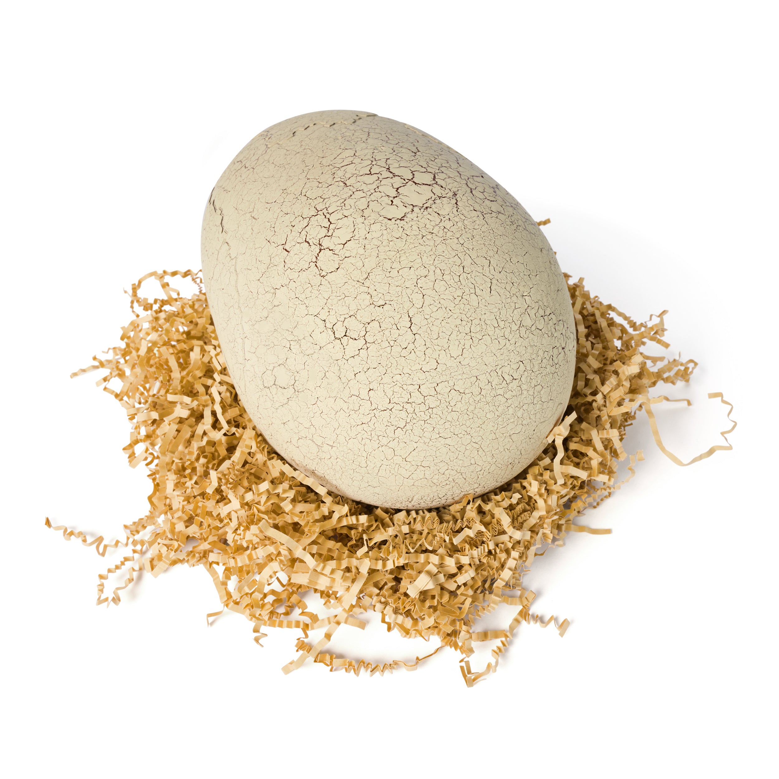 Jurassic World Primal Hatch Interactive Toy Dinosaur & Egg