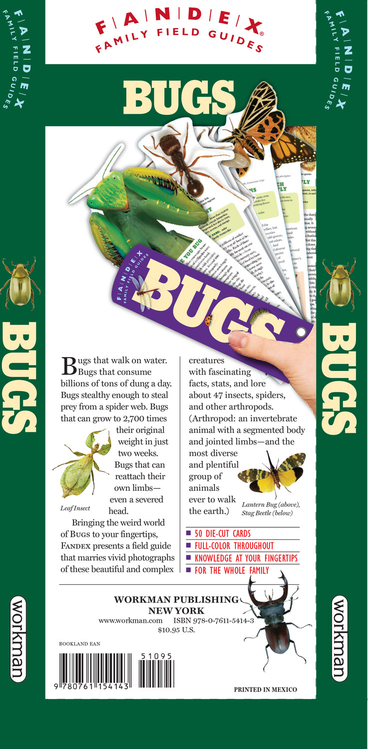 Fandex Family Field Guides: Bugs