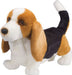 Harold Basset Hound