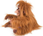 Orangutan, Baby Hand Puppet