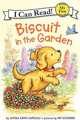 Biscuit in the Garden