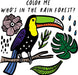 Color Me: Who's in the Rain Forest?: Watch Me Change Colour In Water