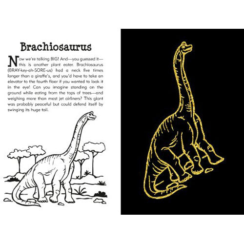 Jurassic and Beyond Scratch and Sketch: An Art Activity Book for Prehistoric Adventurers of All Ages