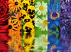 Floral Reflections