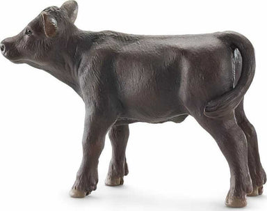 Black Angus Calf