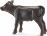 Black Angus Calf
