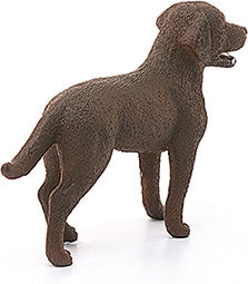 Labrador Retriever, Female