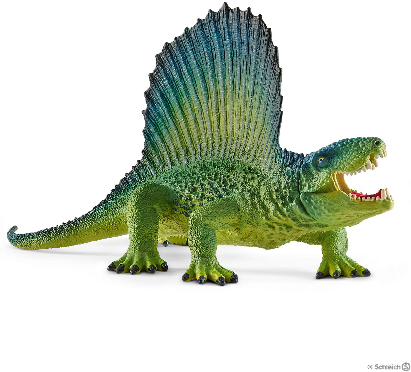 Dimetrodon