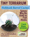 Tiny Terrarium Cactus (assorted)