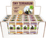 Tiny Terrarium Cactus (assorted)