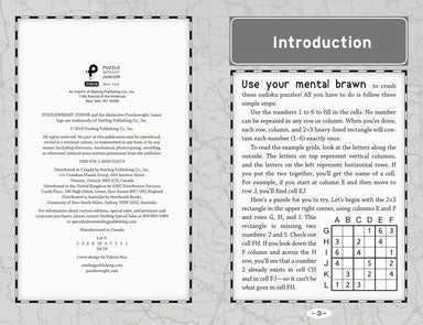 Sudoku Puzzles for a Road Trip