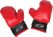 Boxing Set